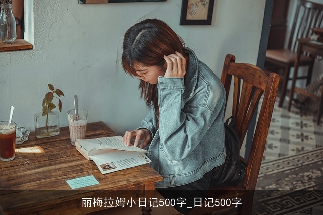 丽梅拉姆小日记500字_日记500字