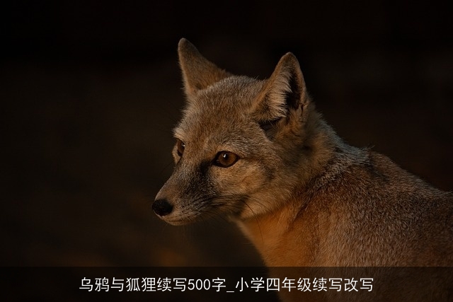 乌鸦与狐狸续写500字_小学四年级续写改写