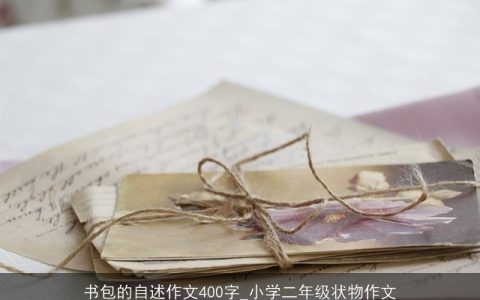 书包的自述作文400字_小学二年级状物作文