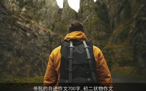 书包的自述作文700字_初二状物作文