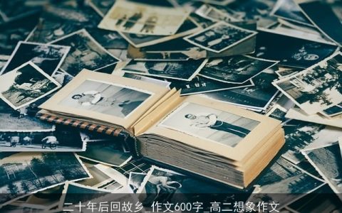 二十年后回故乡_作文600字_高二想象作文