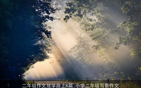 二年级作文放学路上8篇_小学二年级写景作文