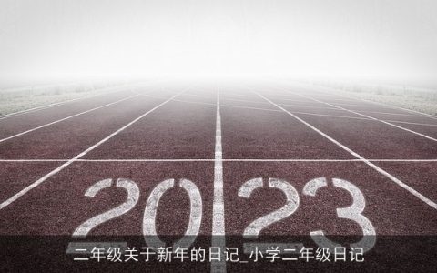 二年级关于新年的日记_小学二年级日记