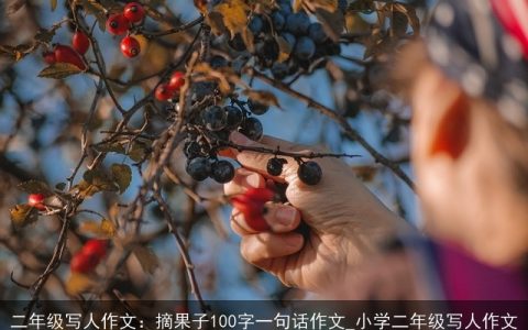 二年级写人作文：摘果子100字一句话作文_小学二年级写人作文