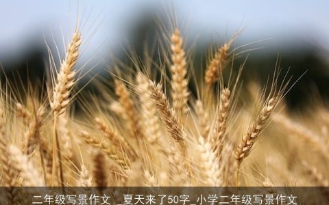 二年级写景作文 _夏天来了50字_小学二年级写景作文