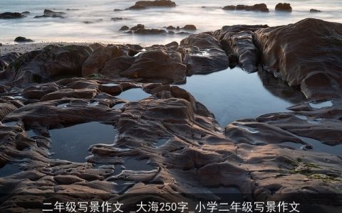 二年级写景作文 _大海250字_小学二年级写景作文