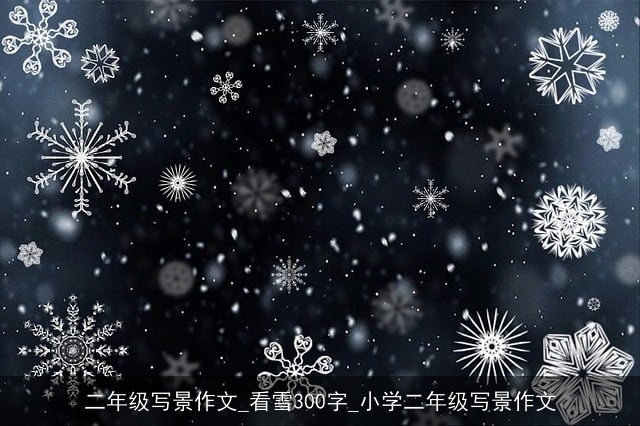 二年级写景作文_看雪300字_小学二年级写景作文