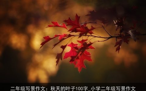 二年级写景作文：秋天的叶子100字_小学二年级写景作文