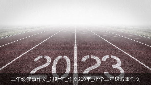 二年级叙事作文_过新年_作文200字_小学二年级叙事作文