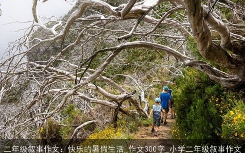 二年级叙事作文：快乐的暑假生活_作文300字_小学二年级叙事作文