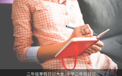 二年级寒假日记大全_小学二年级日记