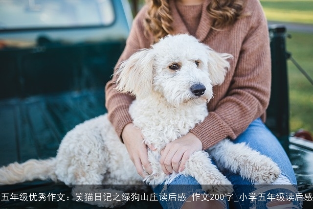 五年级优秀作文：笑猫日记之绿狗山庄读后感_作文200字_小学五年级读后感