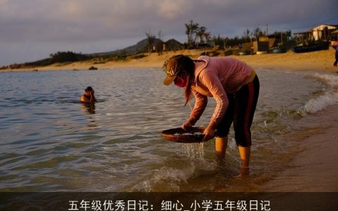 五年级优秀日记：细心_小学五年级日记