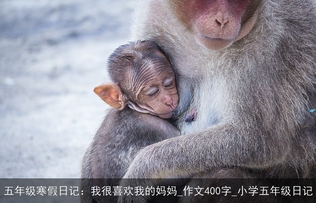 五年级寒假日记：我很喜欢我的妈妈_作文400字_小学五年级日记