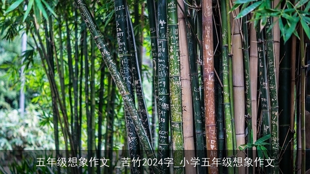 五年级想象作文 _苦竹2024字_小学五年级想象作文