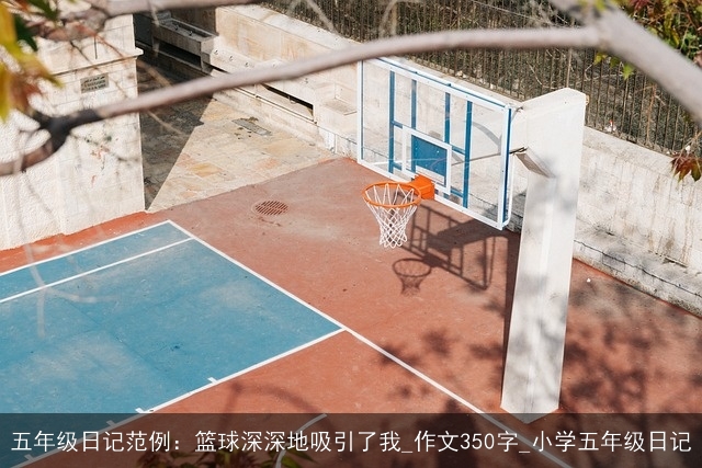 五年级日记范例：篮球深深地吸引了我_作文350字_小学五年级日记