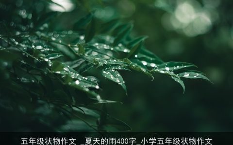 五年级状物作文 _夏天的雨400字_小学五年级状物作文