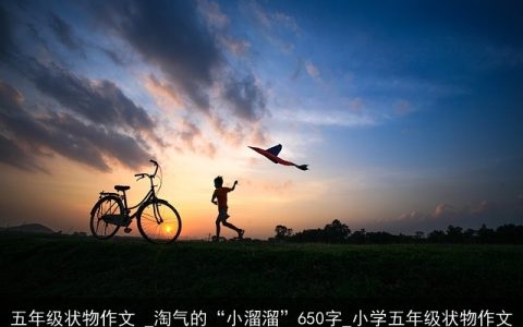 五年级状物作文 _淘气的“小溜溜”650字_小学五年级状物作文