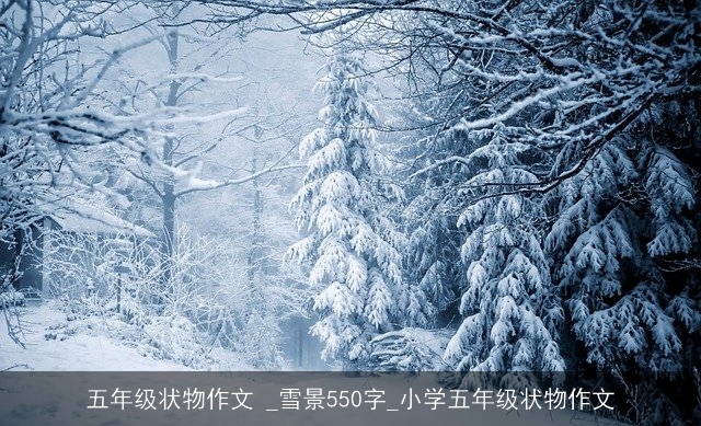 五年级状物作文 _雪景550字_小学五年级状物作文