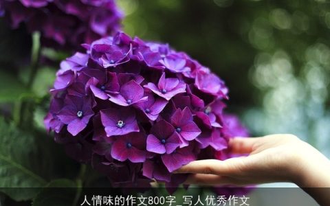 人情味的作文800字_写人优秀作文