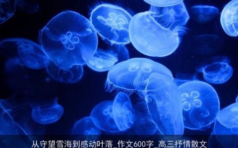 从守望雪海到感动叶落_作文600字_高三抒情散文