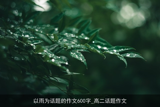 以雨为话题的作文600字_高二话题作文