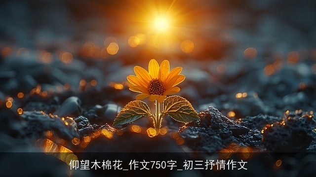 仰望木棉花_作文750字_初三抒情作文