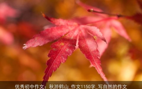 优秀初中作文：秋游鹤山_作文1150字_写自然的作文