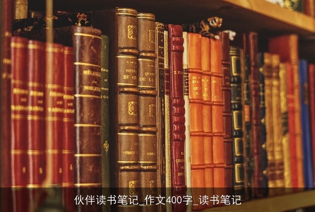 伙伴读书笔记_作文400字_读书笔记