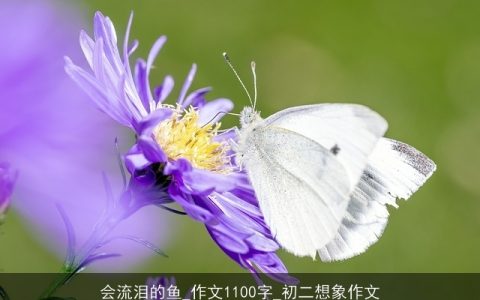 会流泪的鱼_作文1100字_初二想象作文