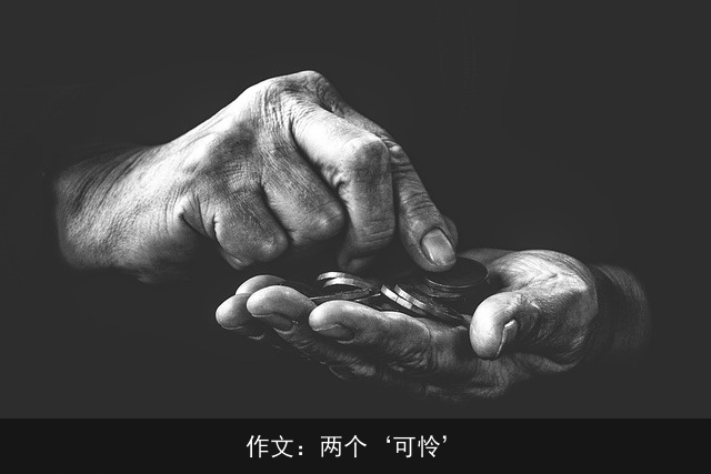 作文：两个‘可怜’