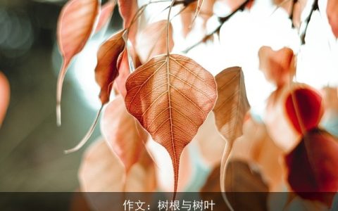 作文：树根与树叶