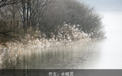 作文：水精灵