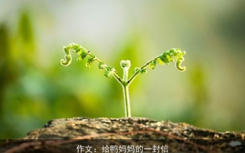 作文：给鸭妈妈的一封信