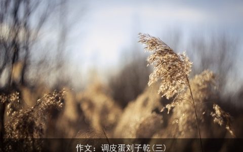 作文：调皮蛋刘子乾(三)