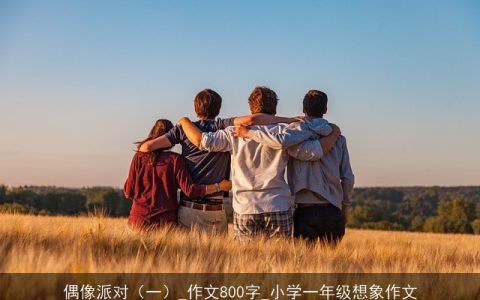 偶像派对（一）_作文800字_小学一年级想象作文