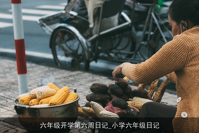 六年级开学第六周日记_小学六年级日记