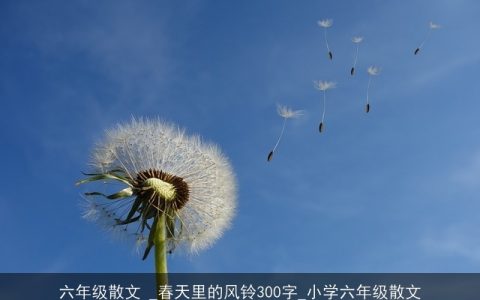 六年级散文 _春天里的风铃300字_小学六年级散文