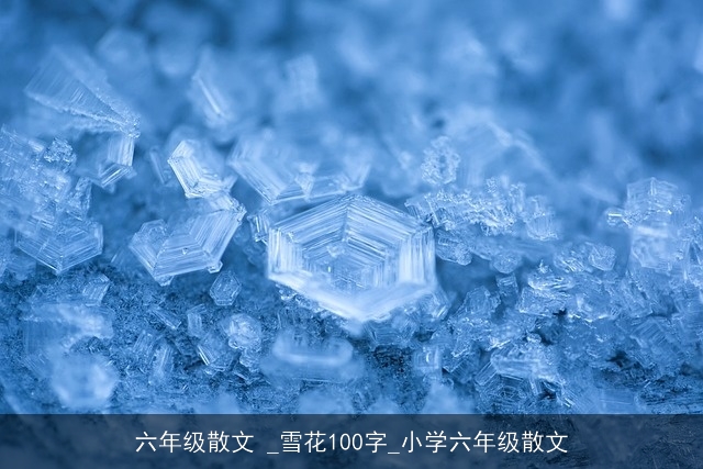 六年级散文 _雪花100字_小学六年级散文