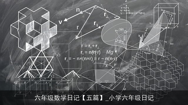 六年级数学日记【五篇】_小学六年级日记