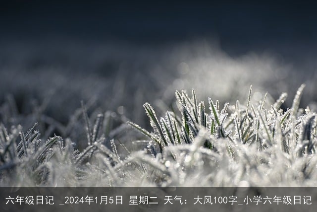 六年级日记 _2024年1月5日 星期二 天气：大风100字_小学六年级日记