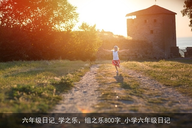 六年级日记_学之乐，组之乐800字_小学六年级日记