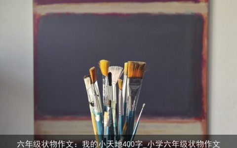 六年级状物作文：我的小天地400字_小学六年级状物作文