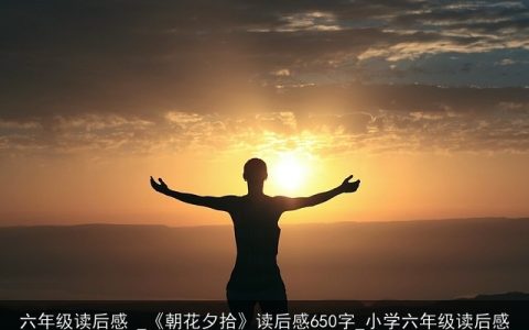 六年级读后感 _《朝花夕拾》读后感650字_小学六年级读后感