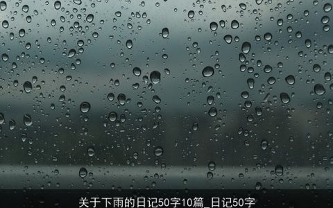 关于下雨的日记50字10篇_日记50字