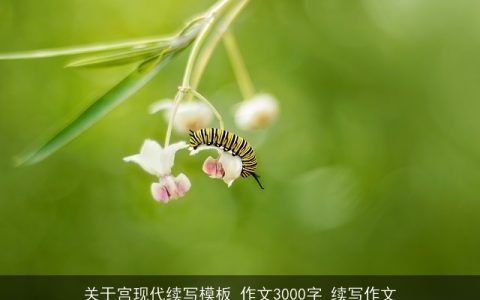 关于宫现代续写模板_作文3000字_续写作文