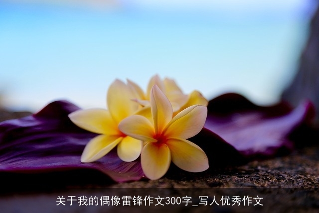 关于我的偶像雷锋作文300字_写人优秀作文