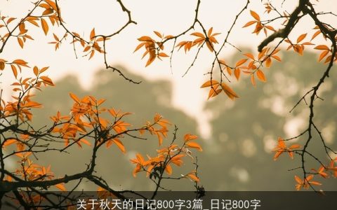 关于秋天的日记800字3篇_日记800字