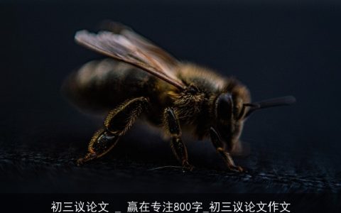 初三议论文 _ 赢在专注800字_初三议论文作文