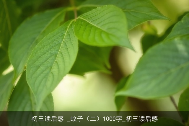 初三读后感 _蚊子（二）1000字_初三读后感